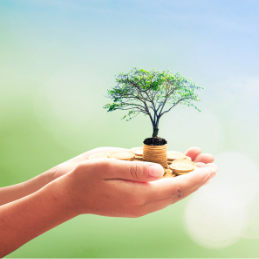 Hands holding a tree