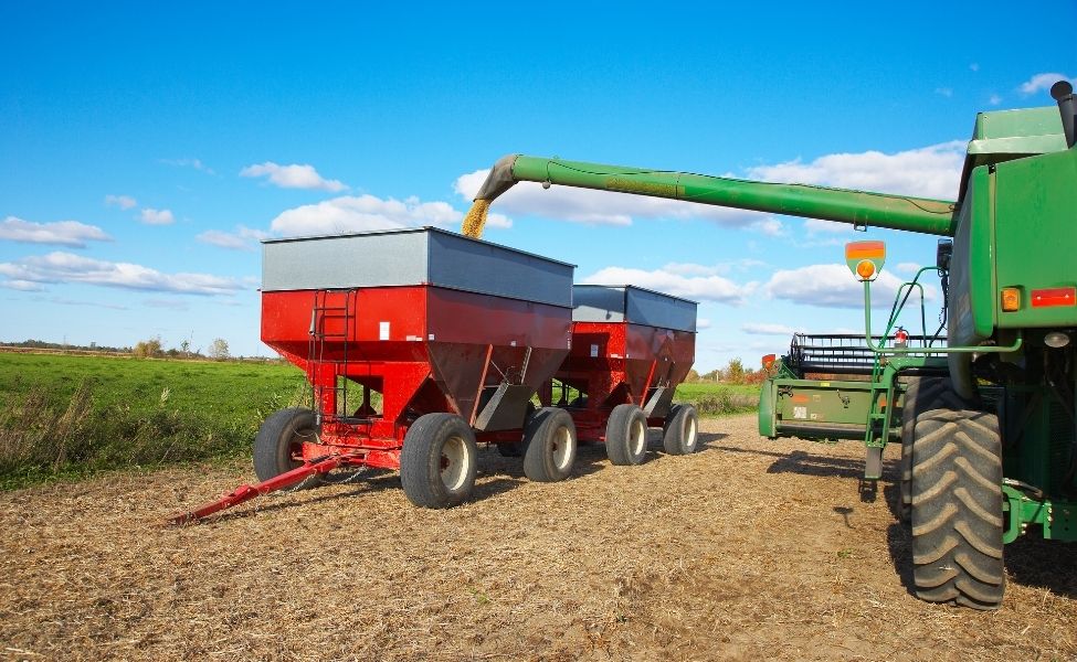 Combine harvesting in a field