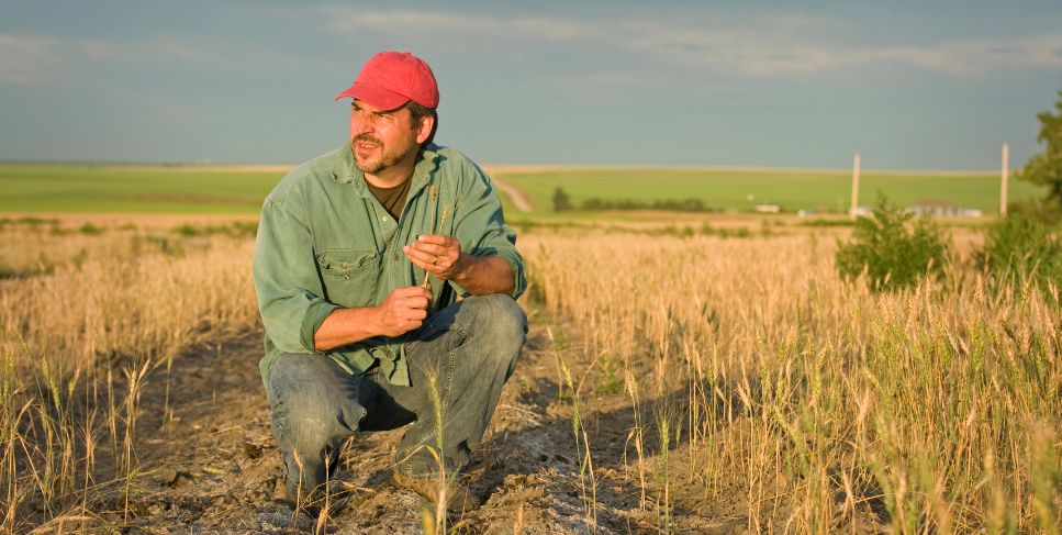 Agriculture Loans from Better Banks Person in field on a farm