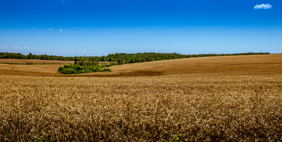 Farm Management